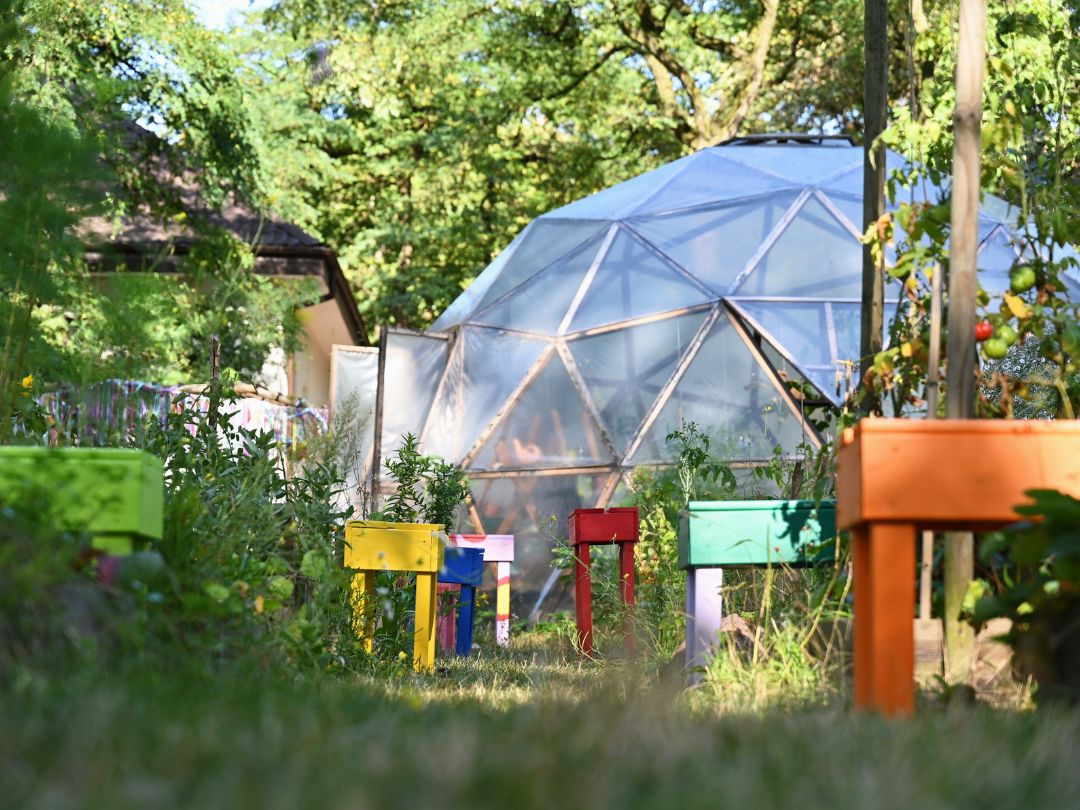 Taboreciki ze szklarnią w tle