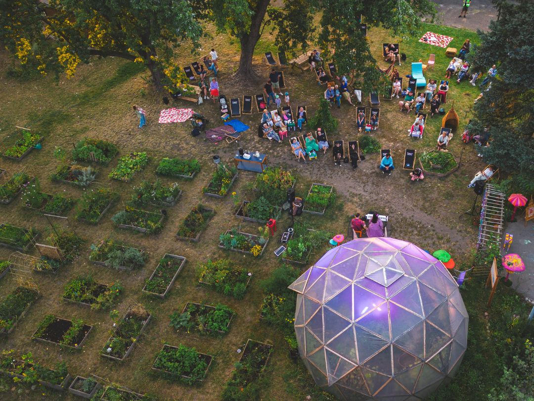 Widok z lotu dmuchawca