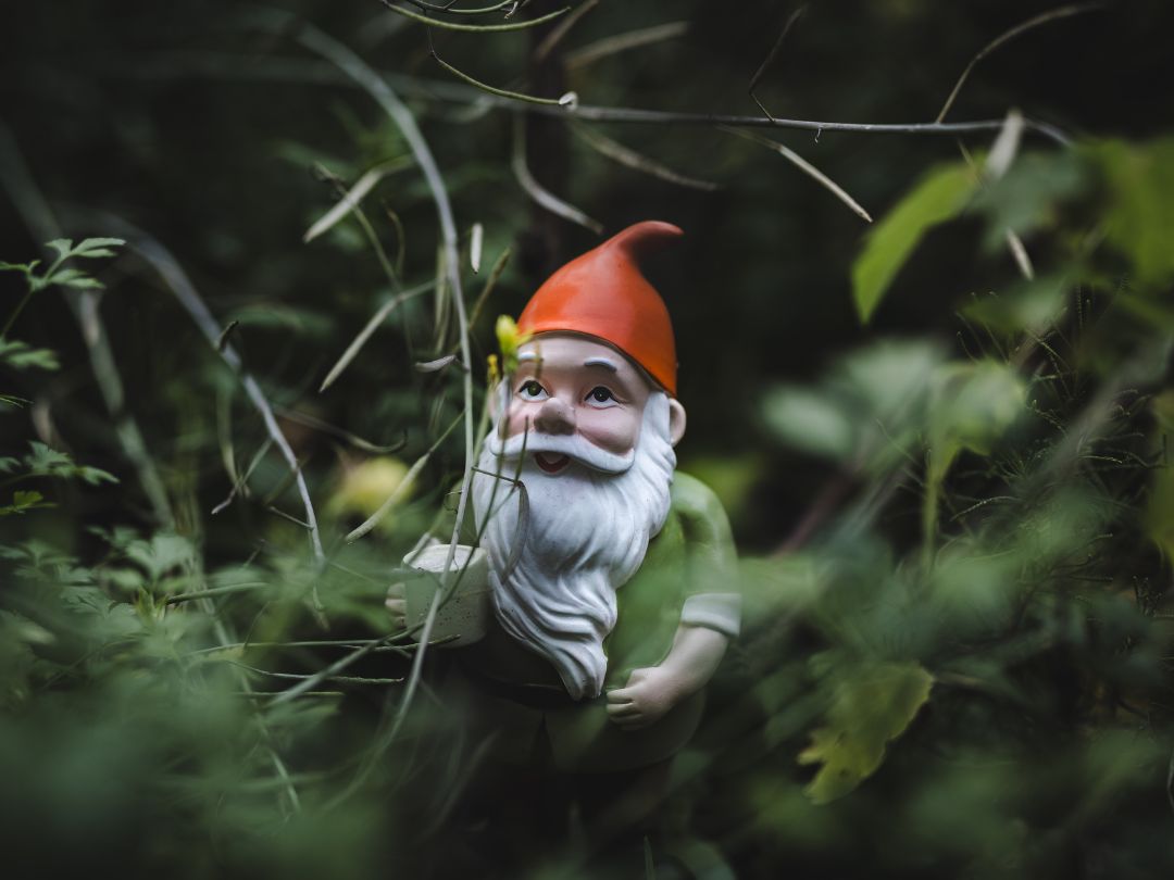 Krasnal Stefan przed zaginięciem